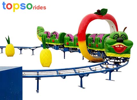 Roller Coaster Amusement Park Rides